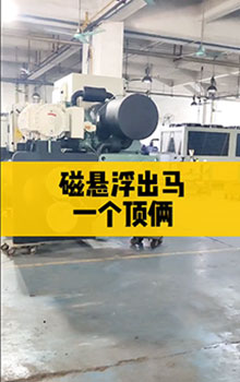 磁懸浮出馬，一個(gè)頂倆！